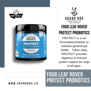 4LR Protect - Soil Based Probiotics