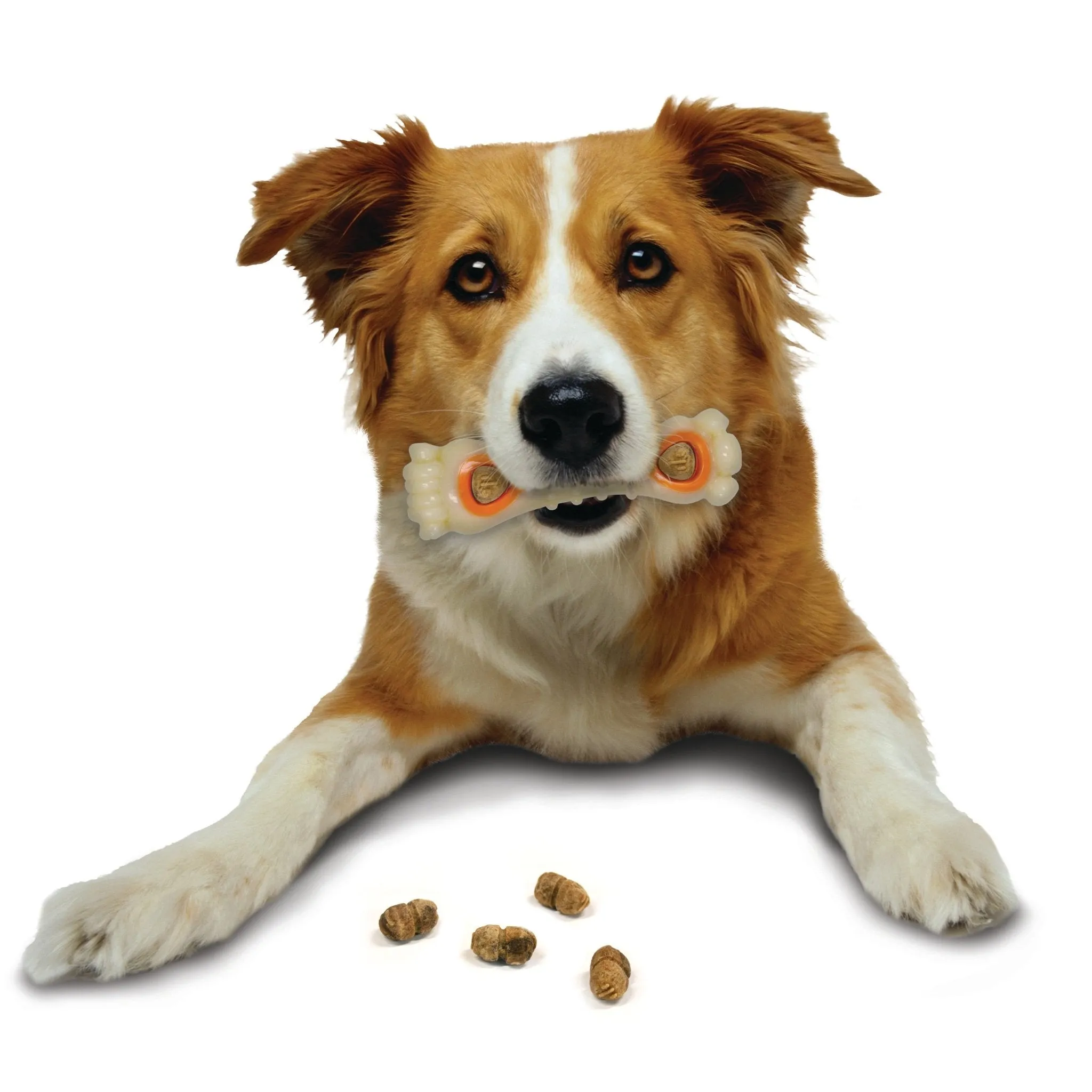 All-Natural Pop-In Dog Treat Refills, Chicken, All Sizes, 30 ct