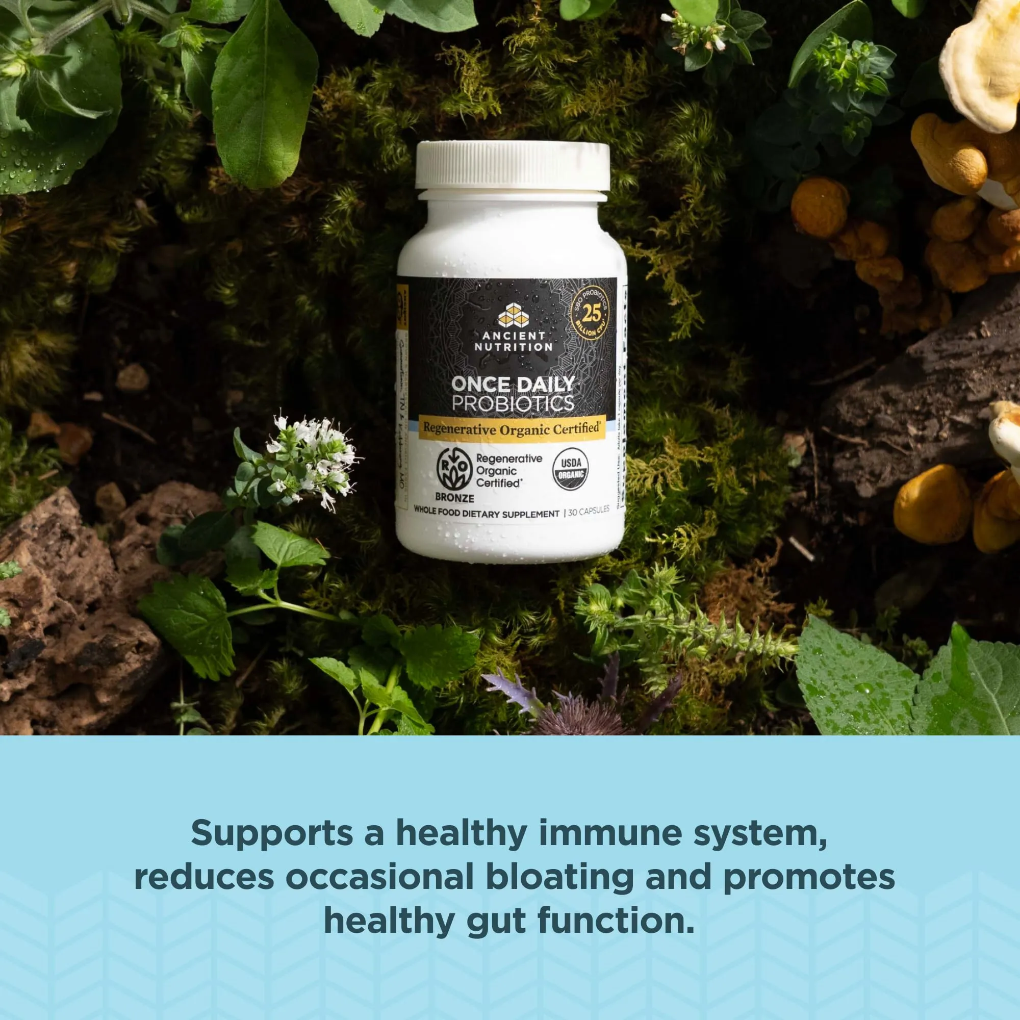 Ancient Nutrition Once Daily Probiotics 25 Billion CFUs* Per Serving 30 Count