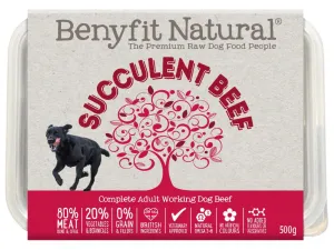 Benyfit Natural Succulent Beef