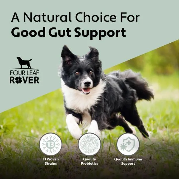 BIFIDO FOR FIDO - Gut health for dogs