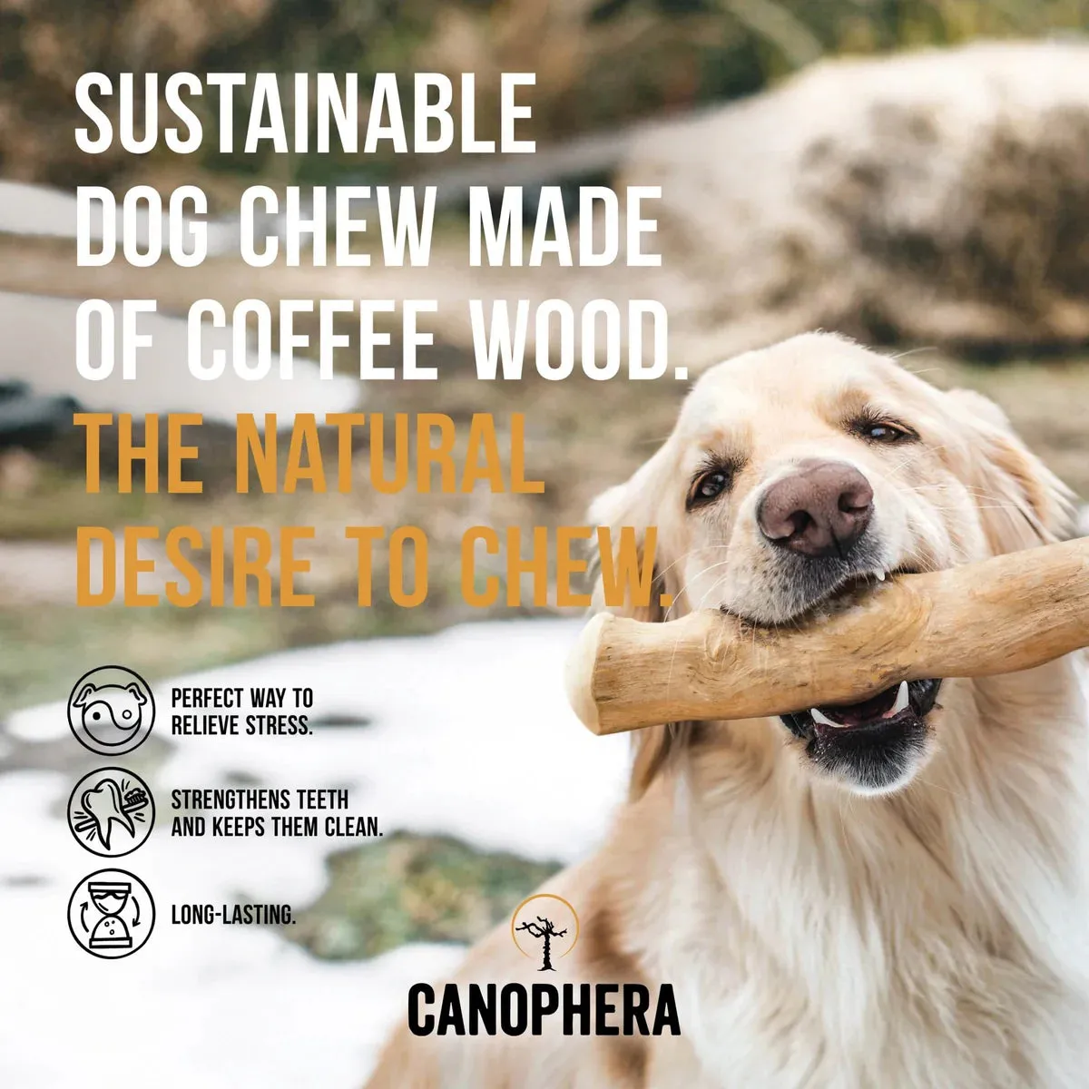 Canophera Tree Wood Chew