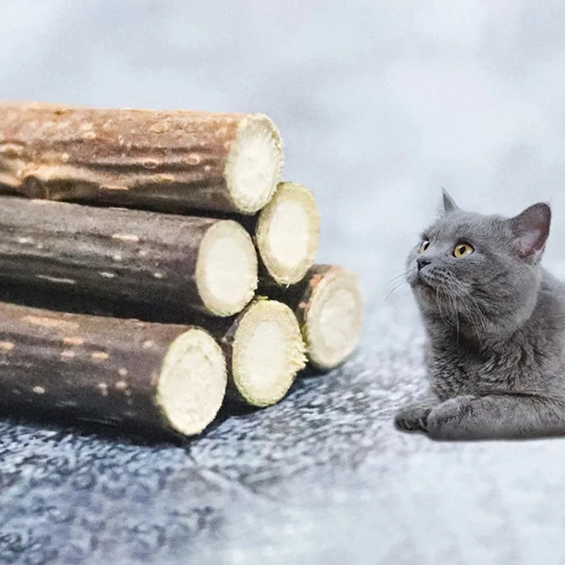 Catnip Chew Sticks