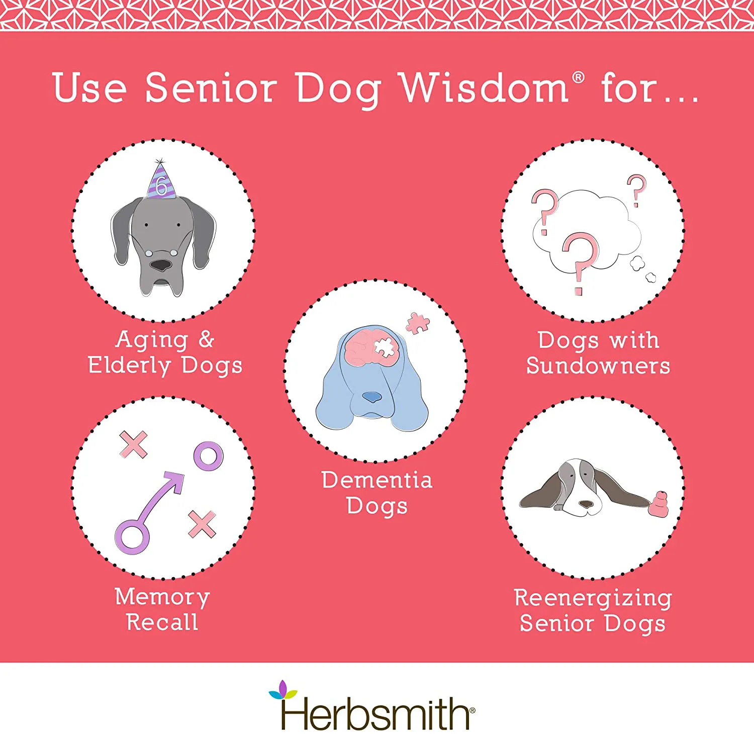 Herbsmith Senior Dog Wisdom – Dog Dementia Supplement – DHA for Senior Dog Brain Health - Senior Supplement for Dogs