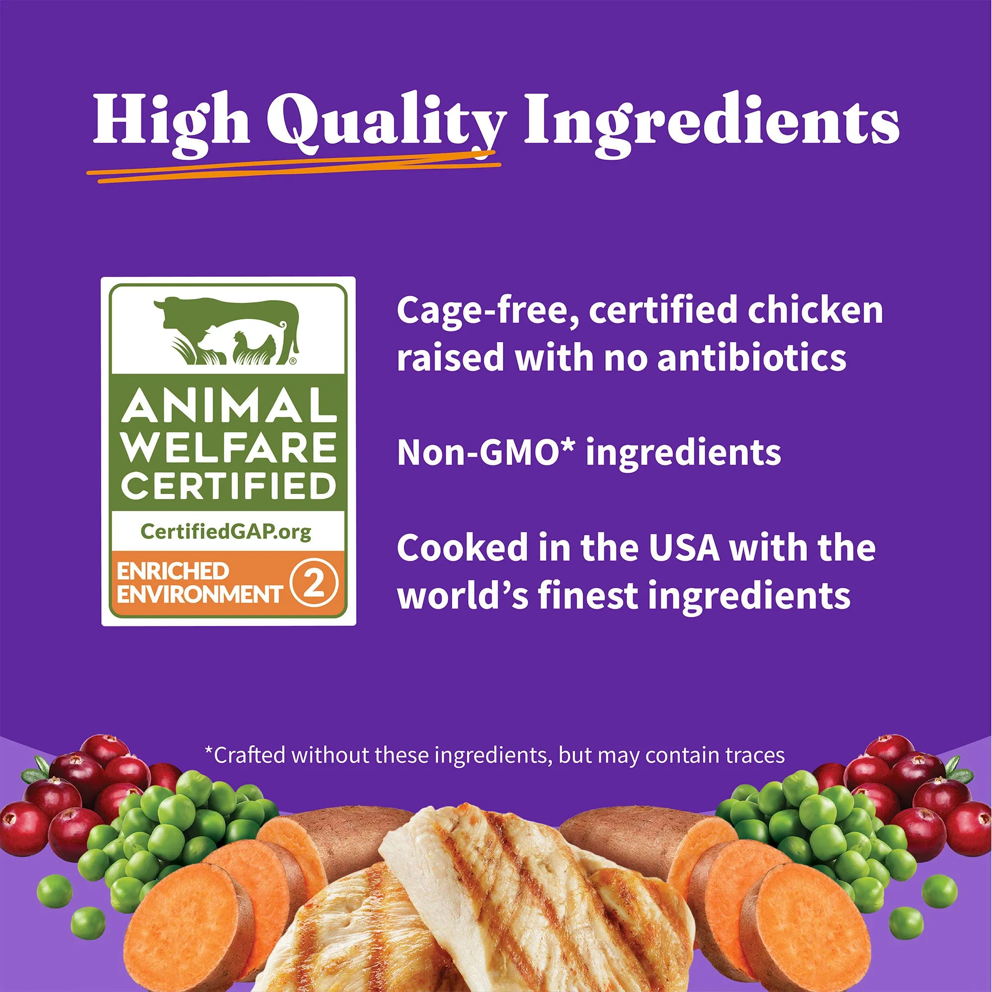 Holistic Grain Free Cage-Free Chicken Recipe Dry Kitten Food