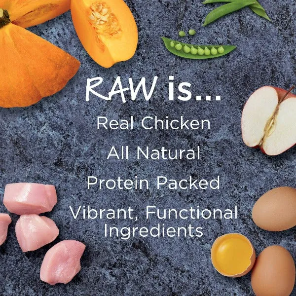 Instinct Raw Boost Real Chicken Gut Health Recipe Dry Dog Food, 4lb