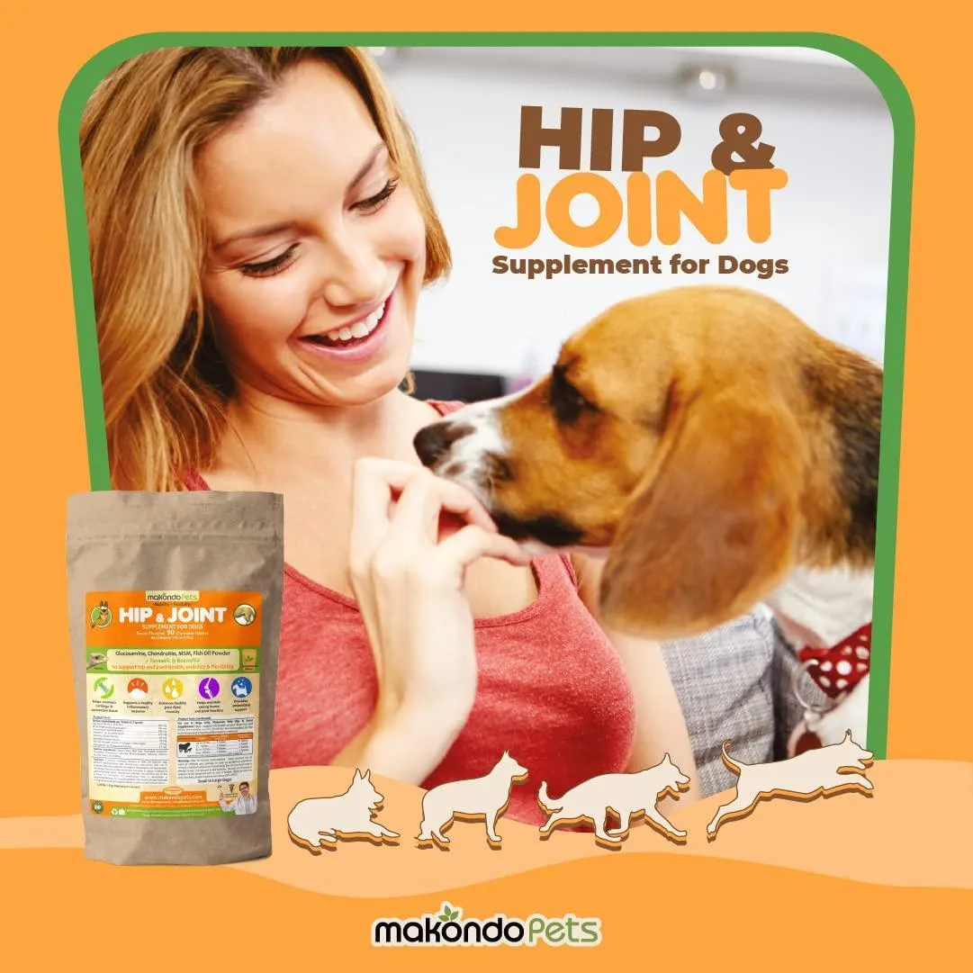 Joint Supplement for Dogs 90 Pills Turmeric for Dogs Plus Fish Oil Glucosamine