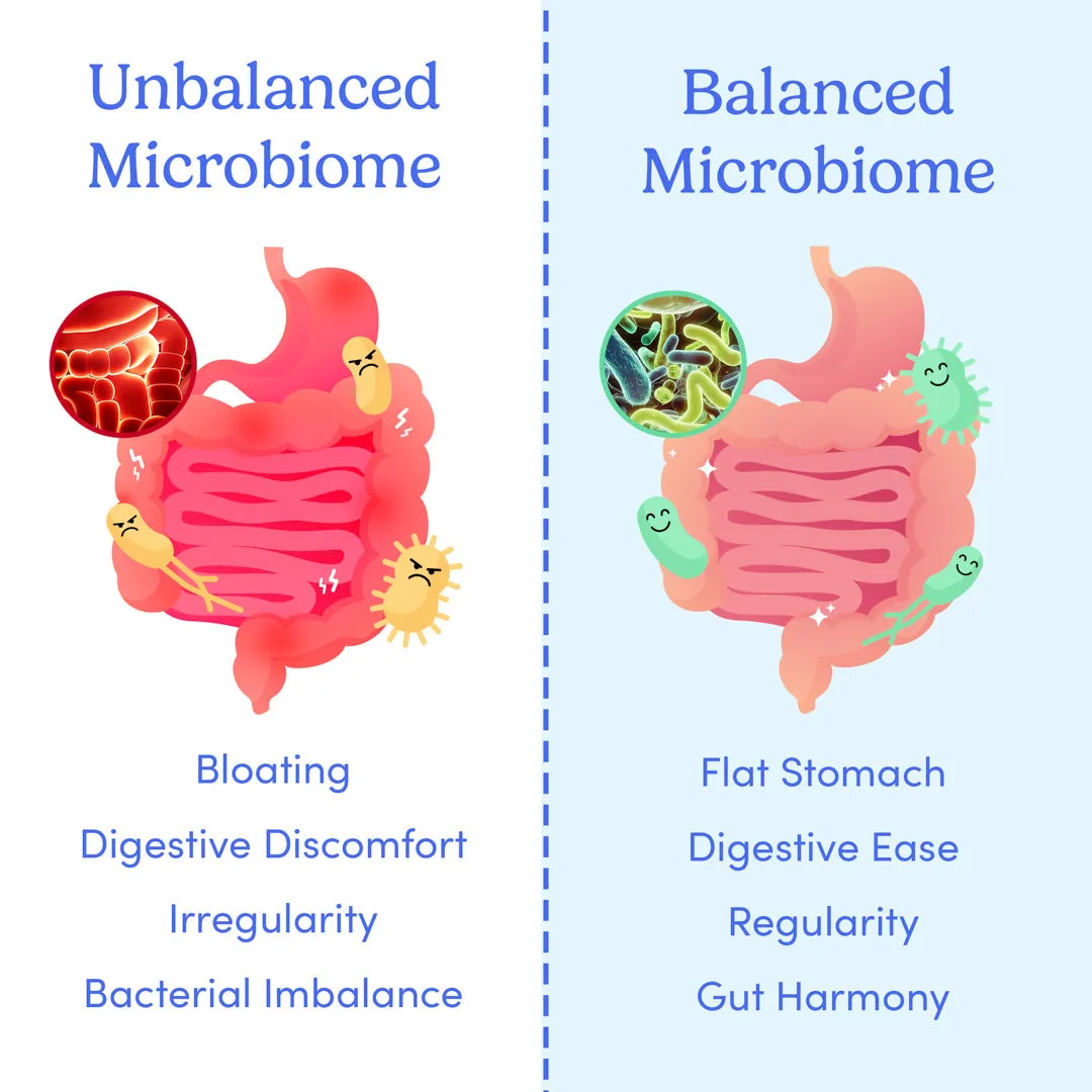 Men's Gut Guardian