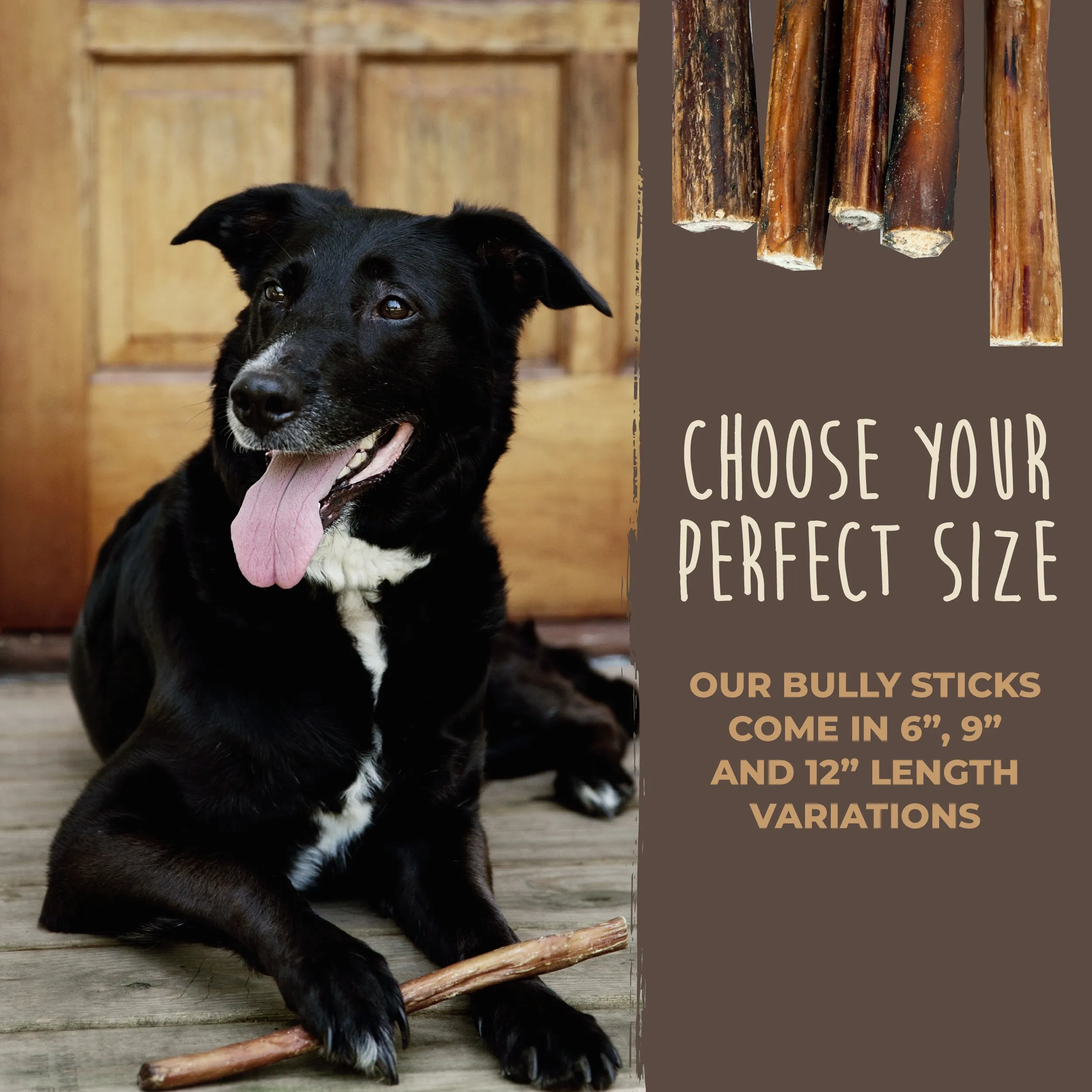 Natural Grass-Fed Bulk Bully Sticks for Dogs' Oral Health