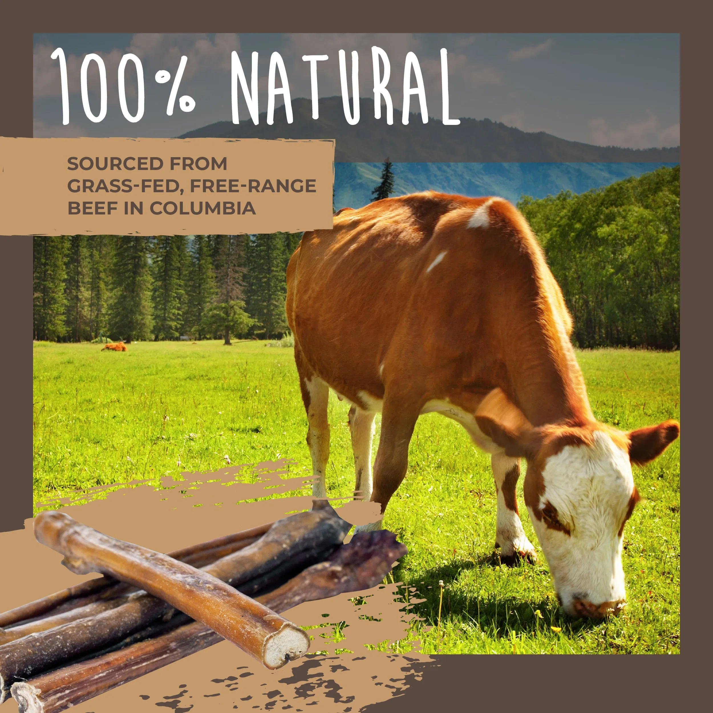 Natural Grass-Fed Bulk Bully Sticks for Dogs' Oral Health