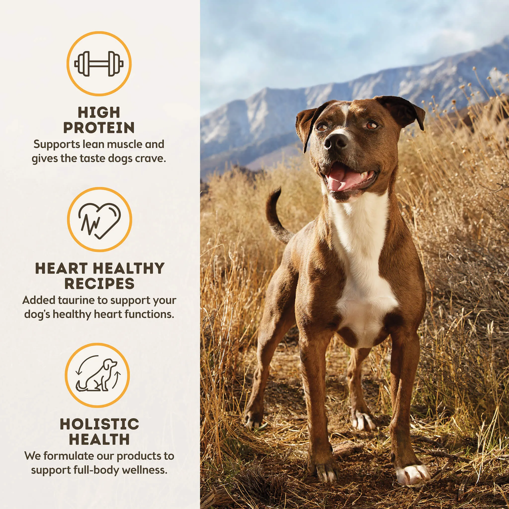 Only Natural Pet MaxBlends Grain-Free Chicken Recipe Dehydrated Dog Food