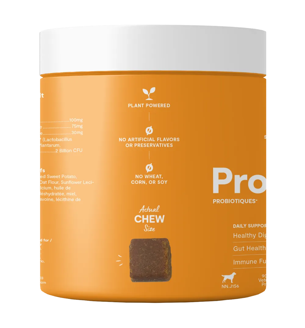 Open Probiotic Supplement Chews for Dogs (90 Ct.)