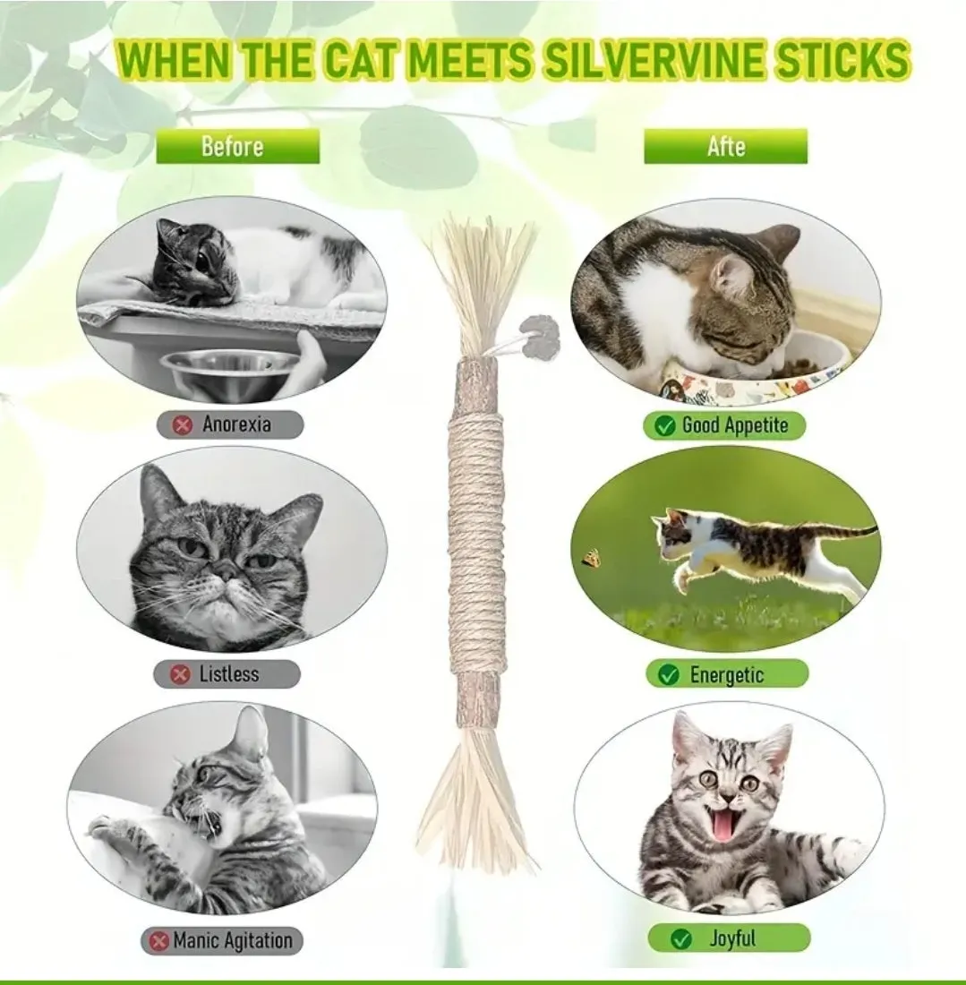 Silvervine Dental Chew