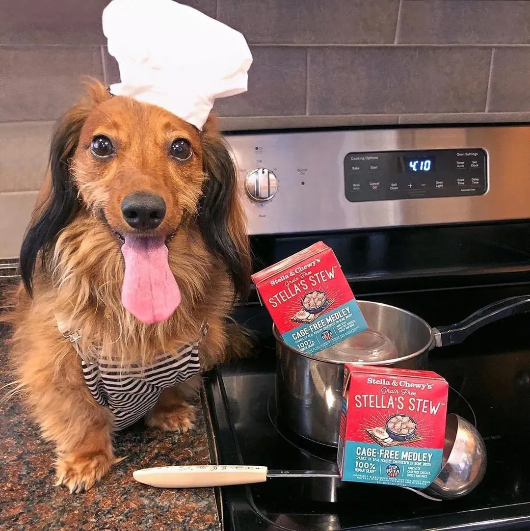 Stella & Chewy's Stella's Stew - Wet Mixers and Toppers for Dogs