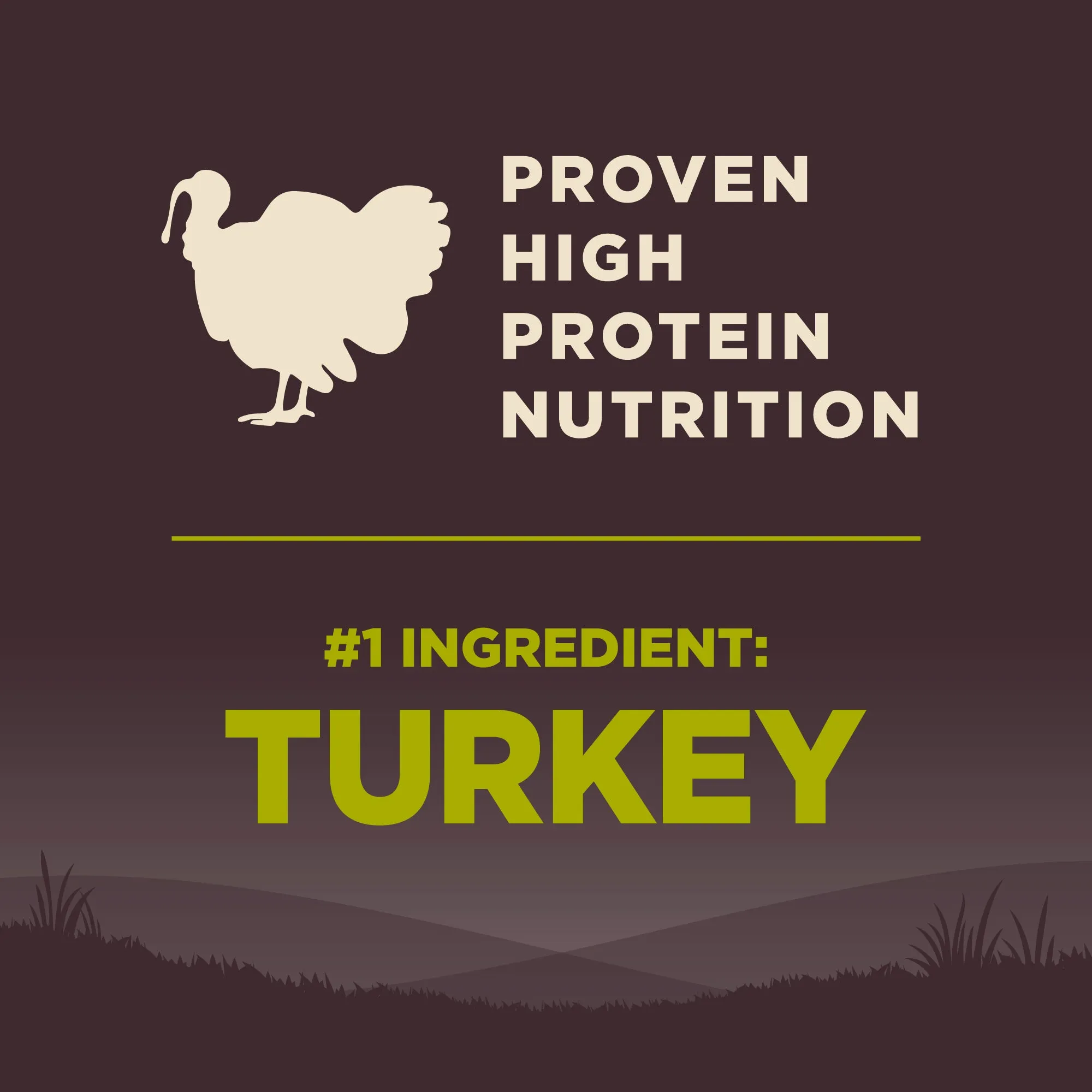 Wellness CORE Small Breed Healthy Weight Grain Free Dry Dog Food (Deboned Turkey, Turkey Meal & Chicken Meal Recipe)