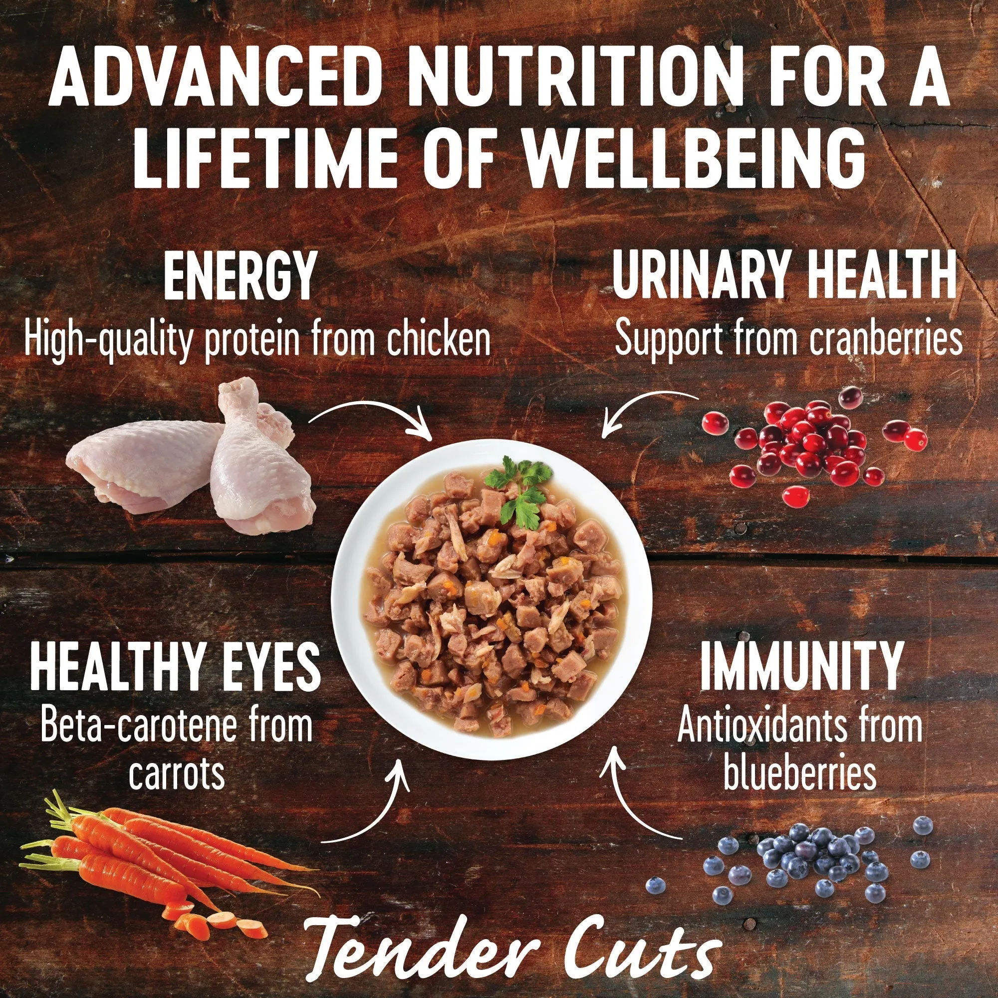 Wellness CORE Tender Cuts with Chicken and Chicken Liver in Gravy Wet Cat Food 85g